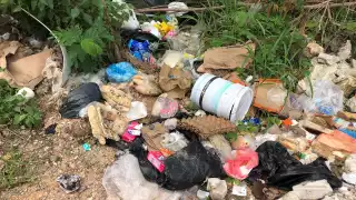 Avenida Luis Manuel Sevilla de Chetumal es un basurero clandestino que nunca termina