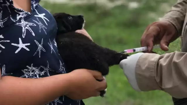 Ganaderos de Reforma Agraria, Champotón, protestaron en el Congreso de Campeche por abandono de la SDA desde 2021.