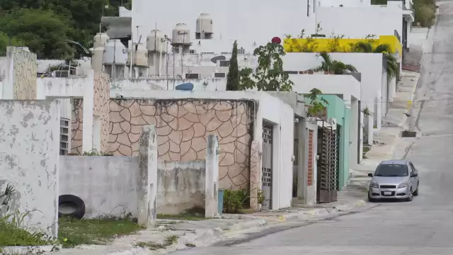 Tan solo en el Municipio han sido contabilizados más de 160 mil, revela la titular de Desarrollo Urbano