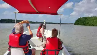 Guías de turistas violan la ley al alimentar y acariciar cocodrilos en Río Lagartos