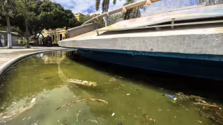 Agua verde y basura indignan a ciudadanos en Ciudad del Carmen