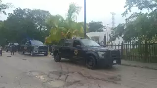 Árbol de 10 metros cae sobre el muro de una casa en Progreso: VIDEO