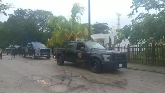 La caída del árbol no dejó personas lesionadas La caída del árbol no dejó personas lesionadas