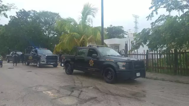 La caída del árbol no dejó personas lesionadas