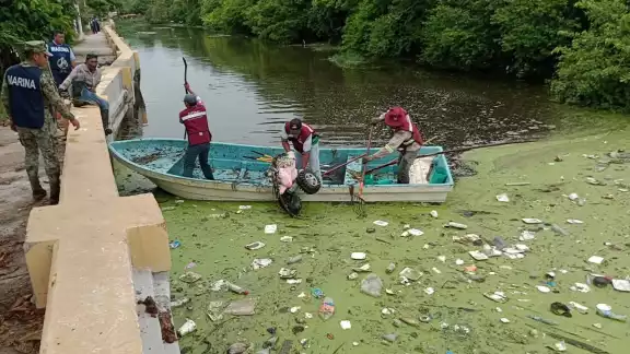 Marina y ZOFEMAT limpian arroyo de La Caleta en Tierra y Libertad
