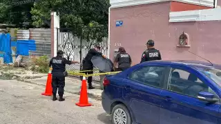 El animal, que estaba vivo, fue  llevado a una clínica veterinaria.