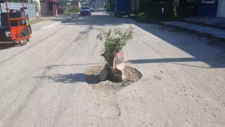 Vecinos de Escárcega colocan adorno floral en un bache para denunciar abandono.