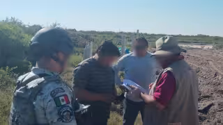 Detectan asentamientos y construcciones dentro de una reserva ambiental en Chelem