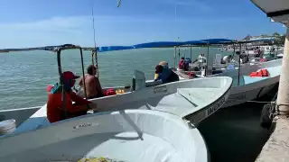 Se piden mejores regulaciones para el buceo y una mayor vigilancia de las embarcaciones.