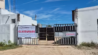 Operan granjas bajo vigilancia en Yucatán