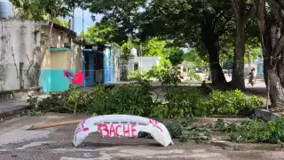 Atravesaron varias ramas, y en medio, colocaron la  facia de un vehículo