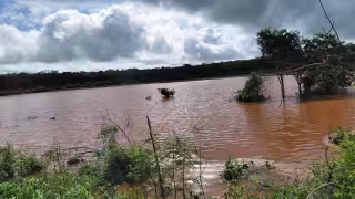 Campo de Hopelchén bajo presión: lluvias amenazan 160 hectáreas de maíz