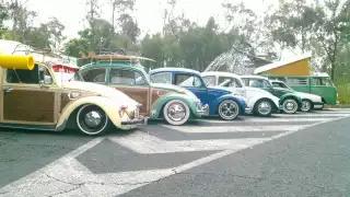 El día mundial del vocho, México lo celebra en varios estados