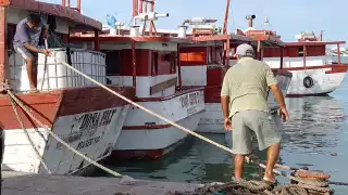 Pescadores de la región se preparan para cerrar la temporada de pulpo el próximo 15 de diciembre