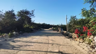 De sujetos de interés a sujetos de derecho: avance histórico para pueblos indígenas