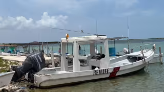 Capitanías de puerto de la región emiten alertas preventivas por la llegada de una surada