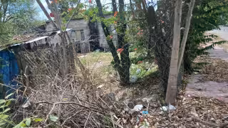 Roban tres pavos y una bicicleta en Escárcega; vecinos se quedan sin caldo