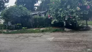 Casa es vaciada en la colonia Fátima; delincuentes se llevan hasta al perrito