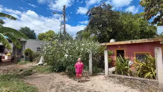 CFE pide 80 mil pesos a mujer de 77 años para retirar un poste de su terreno en Hopelchén