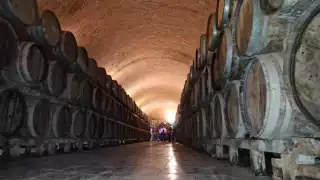 La cava de la destilería es única en todo el estado.