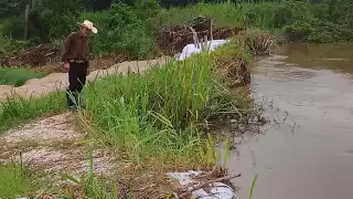 Río Palizada mantiene tendencia a la baja; descartan riesgo inmediato de inundaciones