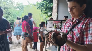 Lo más representativo fue la exposición e interacción de los asistentes con serpientes, conociendo un poco más de sus características morfológicas