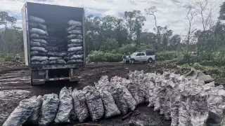 Los invasores sacan diariamente 500 costales de carbón