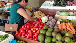 En Hopelchén subió el precio del tomate y limón.