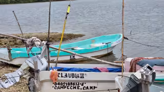 Robos en muelles afectan a pescadores; pérdidas superan 200 mil pesos