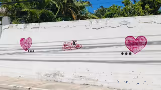 INE Campeche admite limitación para sancionar actos anticipados de campaña rumbo a 2027