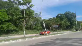 Deysi Luna Díaz solicita a la Dirección de Servicios Públicos asegurar un poste de energía pública en la avenida Solidaridad.