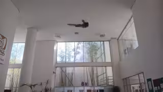 Familiares y personal alertan peligro en instalaciones médicas