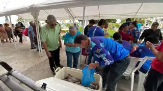 Pérdida de 300 mil alevines por falta de energía pone en riesgo la acuicultura regional