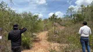 Se afectaron más de 10 km de selva perteneciente a la Reserva Biocultural del Puuc, que alberga especies importantes de la fl ora y fauna, como el jaguar