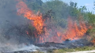 Fuego fuera de control moviliza a bomberos en Escárcega