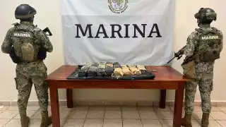 Eran más de 300 kilos de narcóticos