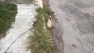 Temen por cables tirados en las calles de Chetumal