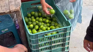 Amas de casa y prestadores de servicios temen nuevo aumento