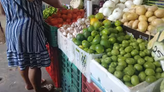 Aumenta precio del limón en Escárcega. Kilo pasa de 15–20 a 35–40 pesos en una semana.