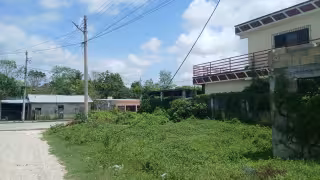 CFE recibe llamado urgente tras caída de líneas eléctricas