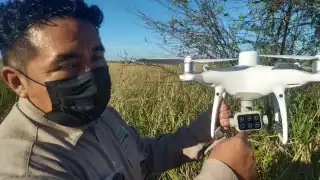 Utilizan drones para monitorear y atacar manchones que representaban un riesgo en la agricultura