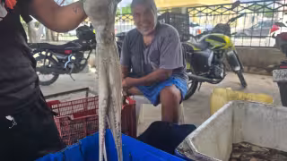 Captura histórica de pulpo también baja su precio