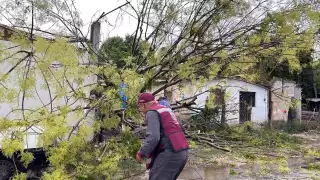 ¿Cómo hacer tu plan de emergencia en Campeche? Protección Civil te guía

