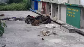 Exigen mayor vigilancia ante saqueo de tumbas en Escárcega