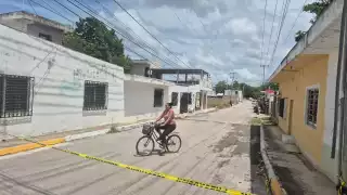 Ataque de abejas en la colonia Puente Viejo moviliza a Protección Civil en Champotón