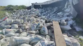 Tráiler cargado con sal vuelca en la Sabancuy–Isla Aguada