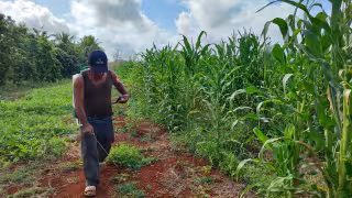 Productores tendrán acceso a asesoría financiera y tecnológica en Mérida