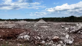 Profepa clausura en Hoctún su segunda ampliación para una granja avícola por desmonte ilegal