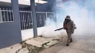 Quintana Roo se ubica entre las cinco entidades con mayor número de contagios confirmados de dengue en todo el país.