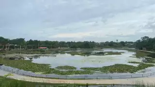 El Huracán Beryl se degradaría a Tormenta Tropical